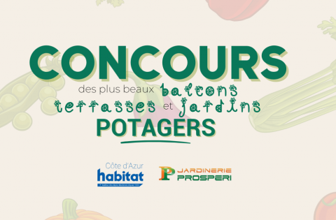 Concours