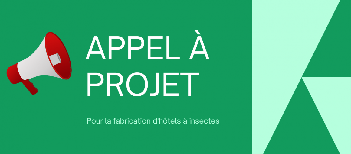 Côte d’Azur Habitat lance un Appel à projets pour la fabrication d’hôtels à insectes