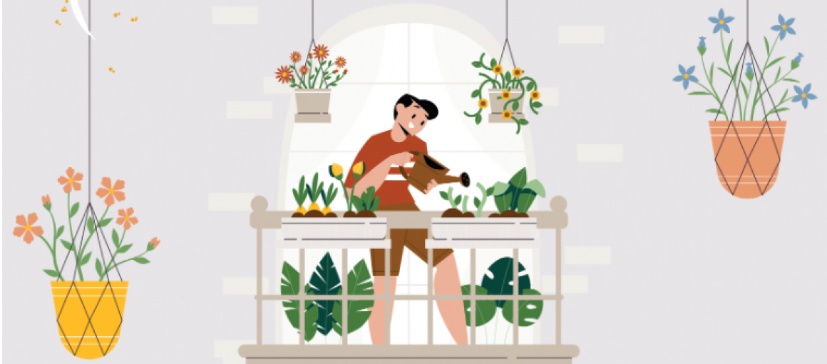 Concours : Balcons et Jardins Potagers