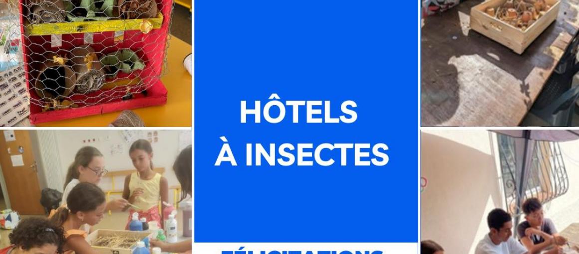 🌿 APPEL À PROJETS : FABRICATION D'HÔTELS À INSECTES 🐞